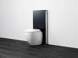 Compacte Wellness in Kleine Badkamer Tips met Toilet van Geberit  (Foto's Perscentrum Wonen) DroomHome.nl