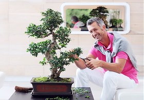 Kamerplant de Bonsai Boom met Bonsai Plantenverzorging Tips (Foto BBH  op DroomHome.nl)