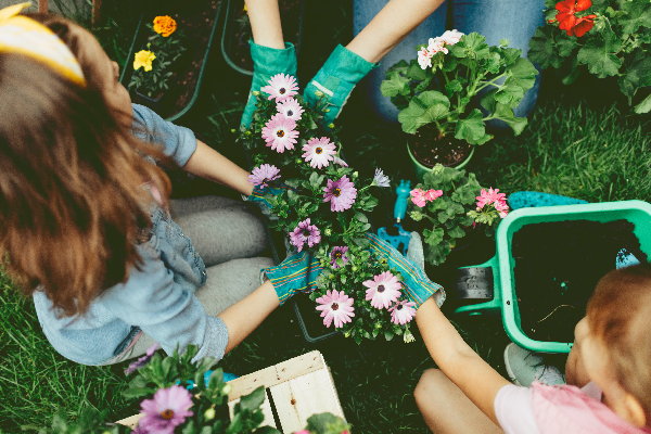 Beurs TuinIdee 2020 – in de Brabanthallen te Den Bosch – Gratis TuinIdee entreekaarten winnen! (Foto TuinIdee   op DroomHome.nl)