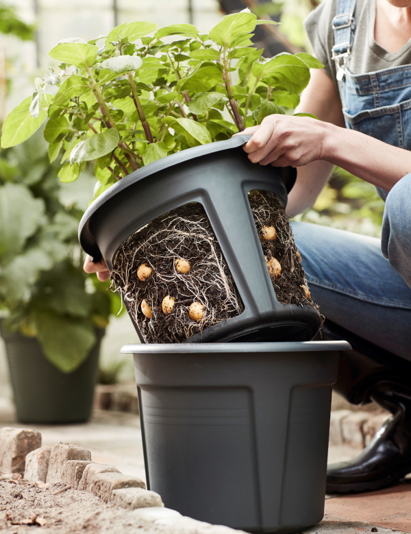 Green Basics Potato Pot van elho - Kweken van aardappels met binnen en buiten pot. (Foto Elho  op DroomHome.nl)