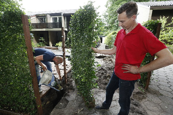 Kant en klare Kardinaalsmuts Euonymus haag van Mobilane planten. (Foto Mobilane  op DroomHome.nl)