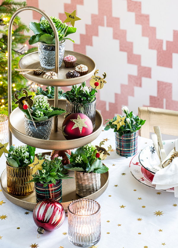 Kersttrends 2021 Intratuin – Intratuin kerstplanten: Vriesea, kerstroos en kunstkerstboom  (Foto Intratuin  op DroomHome.nl)