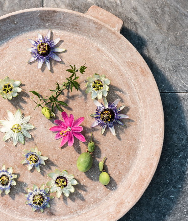 Terrasplant van het jaar 2019: de Passiebloem bloemen en vruchten (Foto Mooiwatplantendoen.nl  op DroomHome.nl) 