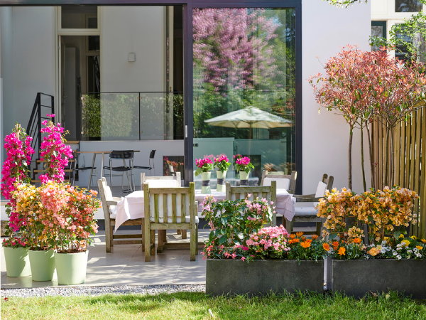 Tuinplanten van de maand april: Kleurbrengers Begonia, Ijzerhard(Verbena), Middaggoud (Gazania) en Bougainvillea. (Foto Mooiwatplantendoen.nl  op DroomHome.nl)