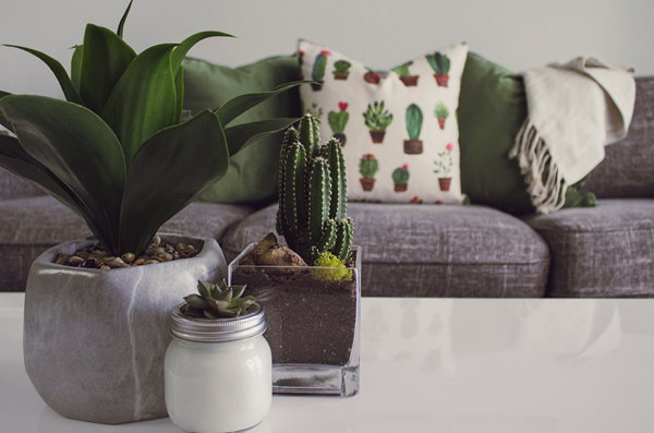 Verhuizen? Tips: van meubels tot planten (Foto: Designecologist, Pexels.com   op DroomHome.nl)