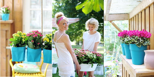 Kamerplanten & Woonplanten op Balkon & Terras - Vakantieplant .. Gezellig he? - Kalanchoe & Cyclaam naar Buiten - MEER Planten ... (Foto Cyclaam & Kalancoe Planten, Mooiwatplantendoen.nl  op DroomHome.nl)