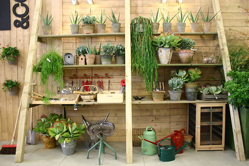 Woonbladen Trend: Groen Wonen in Huis & Tuin - Werkbank Trap met Vetplanten & Tuin Accessoires als Manden, Tuingereedschap van Tuin&Co - MEER... (Foto Tuin&Co Tuinieren  door DroomHome.nl)