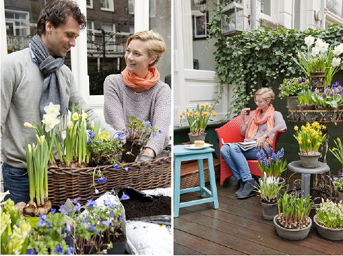 Tuin, Balkon & Terras Planten: Lente Explosie! Bollen op Pot Poten in Plantenbakken voor een Buitenkamer vol Geur & Kleur – Narcissen, Tulpen, Hyacinten en Blauwe Druifjes als Lentebloeiers op het Terras & Balkon! – MEER Terras & Balkon Planten … (Foto MooiWatBloemenDoen.nl  op DroomHome.nl)