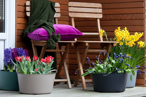 Tuin, Balkon & Terras Planten: Lente Explosie! Bollen op Pot Gekweekt voor een Buitenkamer vol Geur & Kleur – Narcissen, Tulpen, Hyacinten en Blauwe Druifjes als Lentebloeiers op het Terras & Balkon! – MEER Terras & Balkon Planten … (Foto MooiWatBloemenDoen.nl  op DroomHome.nl)