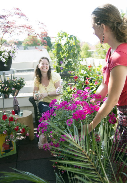 Balkon - & Terrasplant van het Jaar 2014:  Balkonplant 2014 is de Verbena Plant. Verbena Kleuren: Van Wit tot Brandweer Rood, perfect voor Hanging Basket. MEER Balkonplanten & Terrasplanten … (Foto Verbena Balkonplant – MooiWatplantenDoen.nl  op DroomHome.nl) 