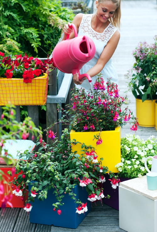 Fuchsia Balkonplant van het Jaar 2015! - MEER Balkonplanten... (Foto Fuchsia Plant Bloemenbureau Holland  op DroomHome.nl)