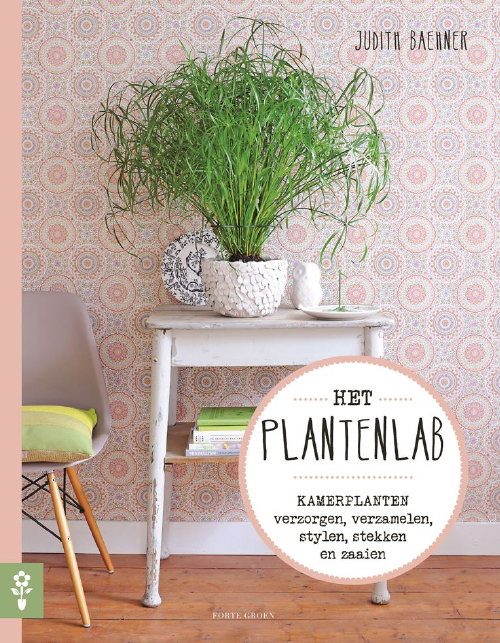 Kamerplanten Boek: Het Plantenlab, Auteur: Judith Baehner – Kamerplanten Verzorgen, Verzamelen, Stylen, Stekken en Zaaien Tips (Foto Het Plantenlab Boek  op DroomHome.nl)