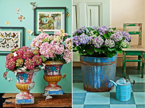 Planten & Interieur: Ontdek Hortensia! – Kamerhortensia in Verschillende Woonstijlen – Kamerplant Hortensia Woonideeën in Blauw en Roze & Aparte Plantenbakken (Foto Mooiwatplantendoen.nl, The Wunderkammer  op DroomHome.nl)