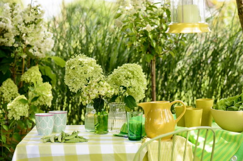 Hortensia in het Zonnetje! – Tuinplant van de Maand Juli, met Hortensia Verzorging Tips! – Hortensia Plant Passend bij Tuin Interieur - MEER Planten… (Foto Mooiwatplantendoen.nl  Gedekte Tafel  op DroomHome.nl)