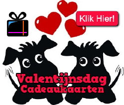 Valentijnsdag - Valentijnscadeau Tip: Geef Romantische Cadeaukaarten & Cadeaubonnen met een Grote Keuze naar Interesses en Cadeaukaarten als Last Minute Cadeau! LEES MEER… (Foto CadeaukaartIdee.nl  op DroomHome.nl)