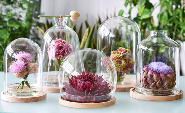 10x Creatief met Zomerbloemen – Bloemen onder Glazen Stolpen. (Foto  op DroomHome.nl)