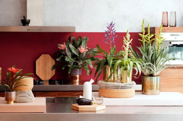 Groene Bloemen en Planten Woontrend 2017: Equalise – MEER Interieur & Woontrends… (Foto Bloemenbureau Holland  op DroomHome.nl)