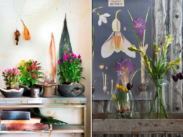 Vier Bloemen & Planten Woontrends 2017 – Harmonise, Equalise, Rebel en Energise Kast - Meer Woontrends.. (Foto Mooiwatbloemendoen.nl  op DroomHome.nl)