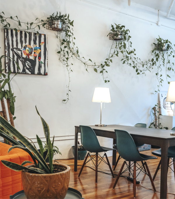 Hangplanten in de groene duurzame woonkamer (Foto: Charlotte May, Pexels  op DroomHome.nl