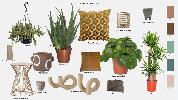 Intratuin planten & interieurtrends 2023 Lush Living – Intratuin kamerplanten en woonaccessoires (Foto: Esther Loonstijn (styliste) & Intratuin  op DroomHome.nl)