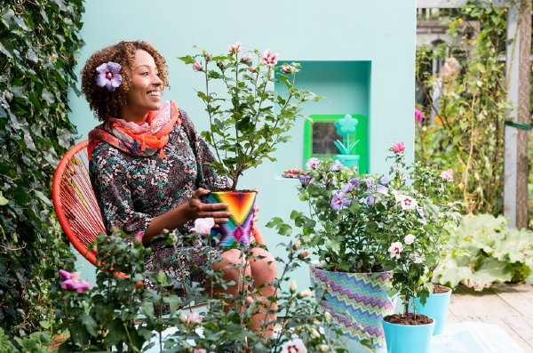 Terrasplant van het Jaar 2016: Hibiscus! – Met Hibiscus Plantverzorging Tips – MEER Tuinplanten… (Foto Mooiwatplantendoen.nl  op DroomHome.nl)