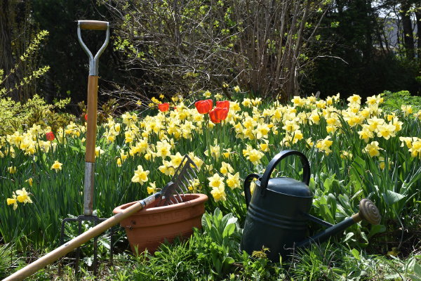 Tuingereedschap: gieter, hark en riek (Foto: CDC, Unsplash  op DroomHome.nl)