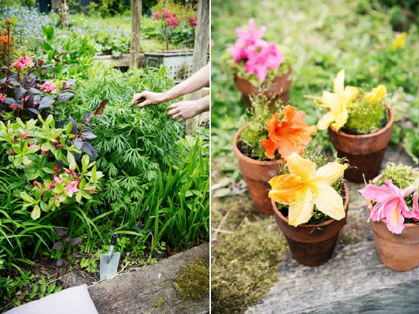 Azalea - Tuinplant van de Maand Maart met Azalea Plant Verzorging Tips in Pot & in de Volle Grond. (Foto Mooiwatplantendoen.nl  op DroomHome.nl)