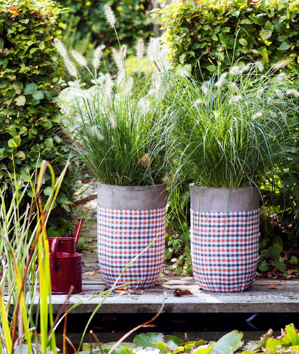 Tuinplant van de Maand September Borstelveergras - Lampenpoetsersgras Verzorgingstips – MEER Tuinplanten… (Foto Mooiwatplantendoen.nl  op DroomHome.nl)