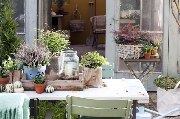 Tuintrend Najaar 2015: De Nieuwe Wildernis - MEER Tuin Inspiratie... (Foto Mooiwatplantendoen.nl  op DroomHome.nl)