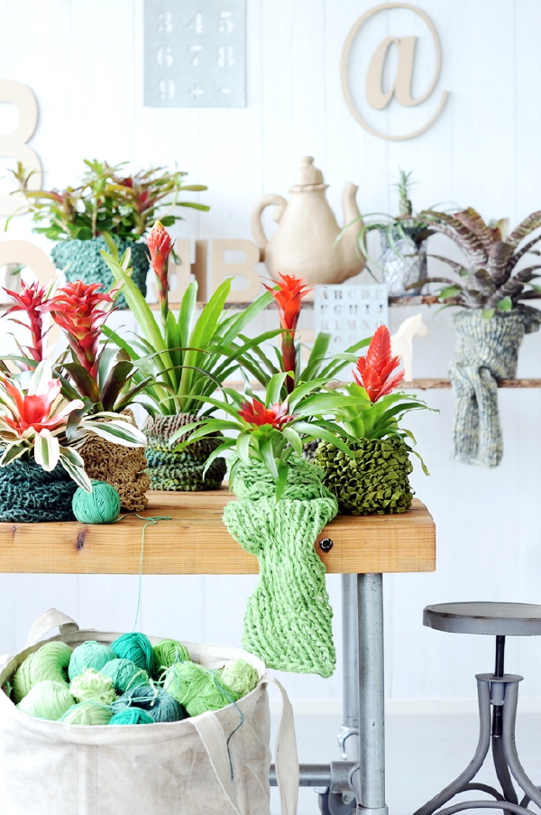 Woonplanten & Kamerplanten Tips: Bromelia - Kleurrijke Makkelijke Plant in de Verzorging en Interieur Ideeën. (Foto Bromelia.info  op DroomHome.nl)