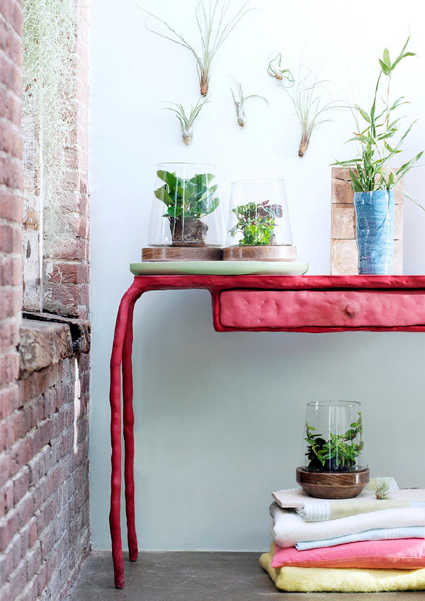 Woonplant van de Maand April: Pittige Peperomi – Peperplant Verzorging Tips, Soort Vetplant, Ideaal als kantoorplant. Sidetable Clay, Design Maarten Baas  (Foto Mooiwatplantendoen.nl  op DroomHome.nl)