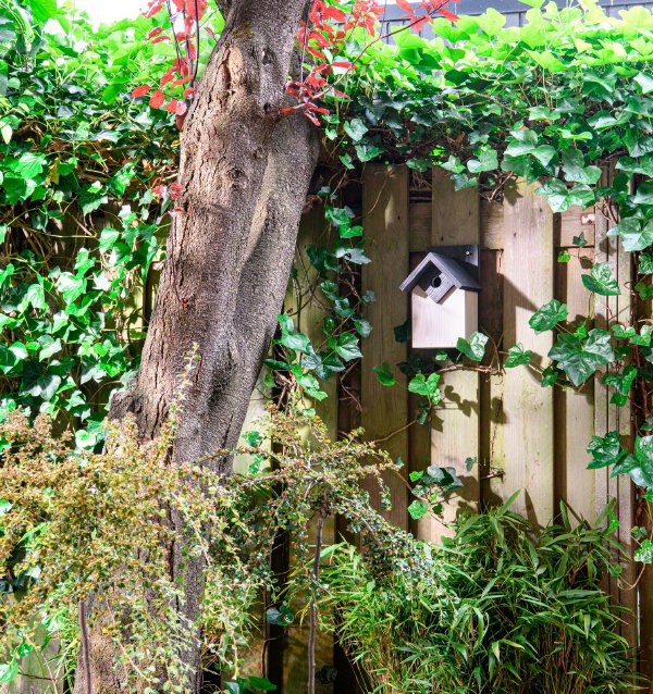 Intratuin tuinklussen in het voorjaar: Insectenhotels en vogelhuisjes ophangen (Foto: Intratuin  op DroomHome.nl)