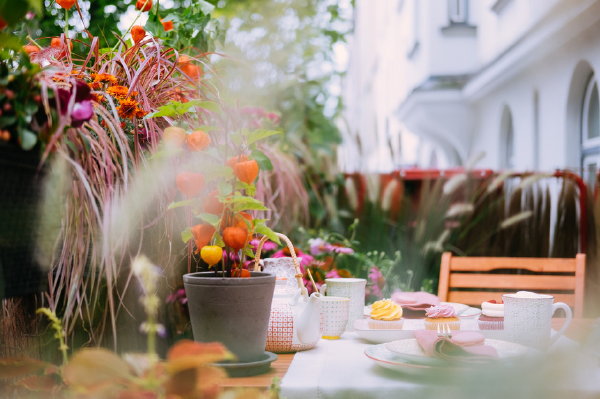 Balkon Ideeën Voor Balkonontwerp, Tuinieren met Terrasplanten en Balkonplanten en Inrichting en Design Tips. Meer Balkon Inspiratie… (Foto Mooiwatplantendoen.nl op DroomHome.nl)