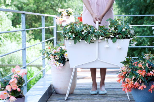 Balkonplant Van het Jaar 2017: Hangbegonia – Kleurrijke Begonia in Potten en Plantenbakken (Foto Mooiwatplantendoen.nl  op DroomHome.nl)