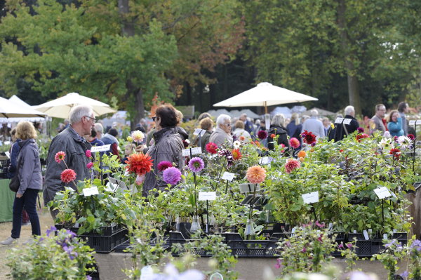 Tuinbeurs Beervelde: De Tuindagen van Beervelde (Foto Tuinplanten Beervelde, Oost-Vlaanderen België  op DroomHome.nl)