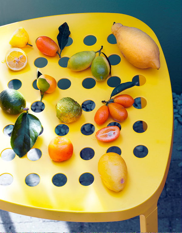 Tuinplant van de Maand Maart: Citrusbomen, Kuipplanten voor Terras en Balkon – Mini Sinaasappelboom, Citroenen, Limoenen, Grapefruits en Kumquats. (Foto Mooiwatplantendoen.nl  op DroomHome.nl)