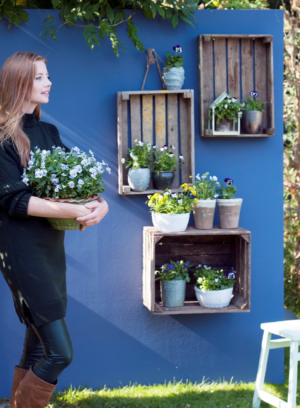 Viooltje – Tuinplant van de Maand Oktober – Viooltjes in de Volle Grond, in Bakken en Potten voor op Terras en Balkon. (Foto Mooiwatplantendoen.nl  op DroomHome.nl)