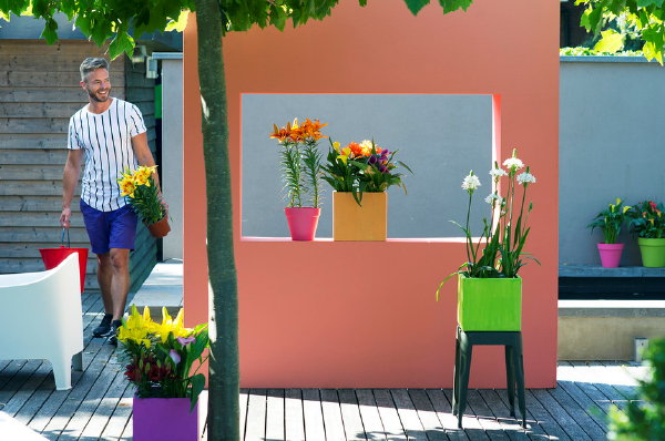 Zomerbollen op Pot – Tuinplant van de Maand Juli met Zantedeschia, Lelie en Ornithogalum en Plantverzorging Tips – MEER Balkon, Terras & Tuinplanten…(Foto Mooiwatplantendoen.nl  op DroomHome.nl)