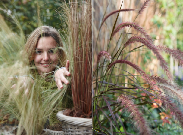 Siergrassen als Tuinplanten in de Tuin – Siergras Stipa tenuissima 'Ponytails' en Pennisetum setaceum 'Rubrum' – MEER Tuinplanten… (Foto Perennialpower.nl  op DroomHome.nl)